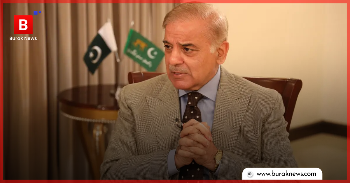 Govt to terminate contracts with five IPPs in initial phase: PM Shehbaz